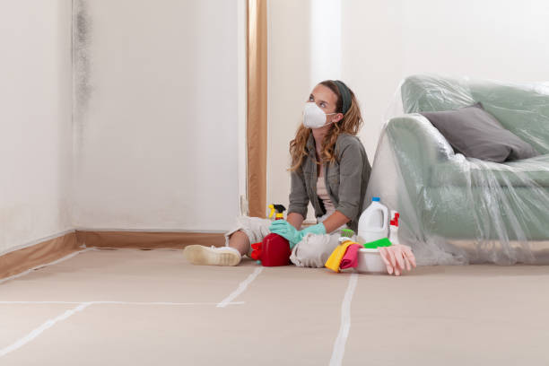 Reliable Mold Remediation contractor in Conklin, MI by Cheap Mold Removal